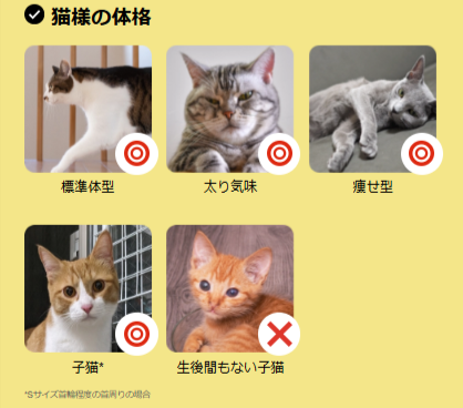 スマート首輪Catlogで、見えない不調も元気も24時間の行動記録から見える-Catlog-01-15-2025_09_32_PM